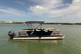 Bulldog Pontoon